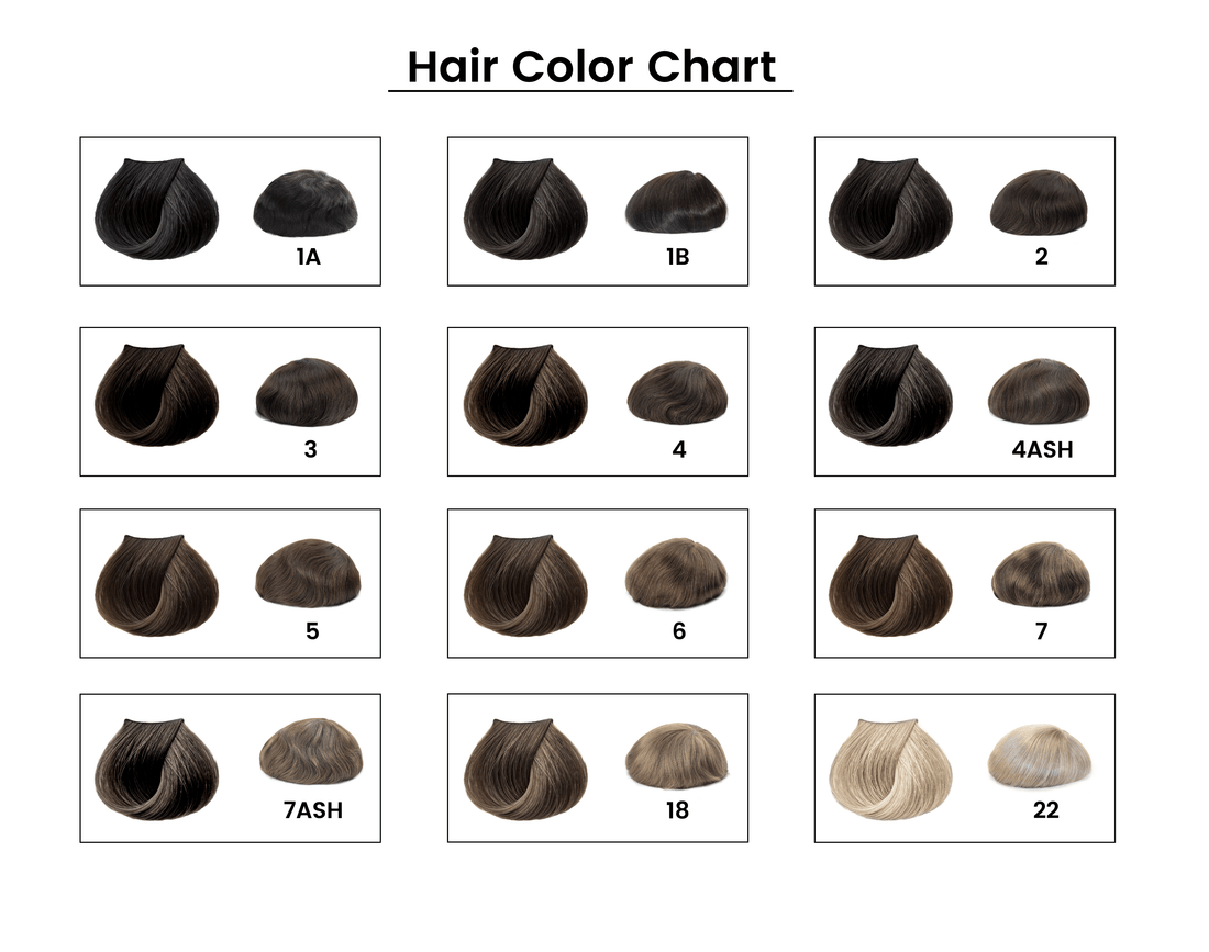 Hair system color chart with multiple shades